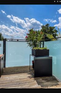 a balcony with two potted plants on top of it at Zimmer - Modernes Apartment mit 45 qm. in Straubing