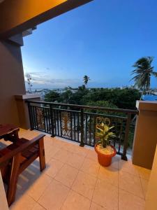 a balcony with a table and a potted plant at Coral View Hotel & Resort in Caye Caulker