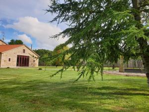 Zahrada ubytování Villa Rosa