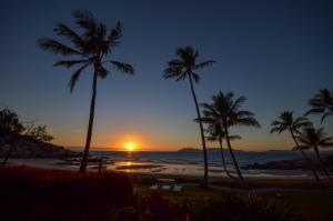 a sunset view of a beach with palm trees at Rose Bay Resort in Bowen