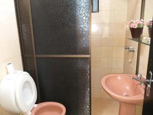 ein Badezimmer mit einem rosa WC und einem Waschbecken in der Unterkunft Departamento 3A in Puerto Iguazú