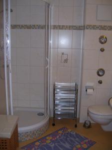 a bathroom with a shower and a toilet at Reiseoase Kavelweg 10, Whg 2 in Zingst