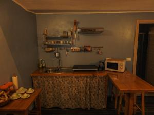 eine Küche mit einer Theke mit einer Spüle und einer Mikrowelle in der Unterkunft La terrazza in Giaveno