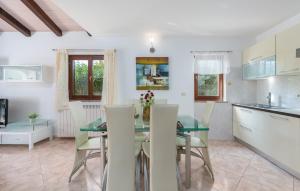 Kuchyň nebo kuchyňský kout v ubytování Villa Lucas