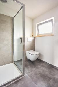 een badkamer met een toilet en een glazen douche bij Apartmány LAMA in Nižné Malatíny