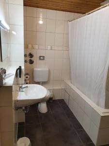 a bathroom with a sink and a toilet and a tub at Pension Seibel in Munich +41 photos