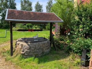 A garden outside Ferienwohnung Schulz Mönchhagen - Obergeschoss