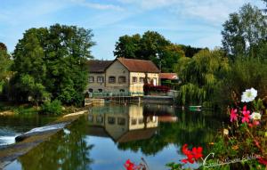 a building next to a river with trees and flowers at Moulin de Chappes in Chappes