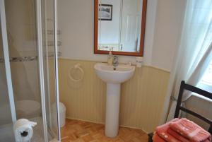 y baño con lavabo y ducha con espejo. en Tinsley House Accommodation, en Cahir