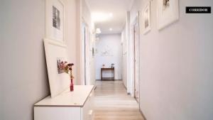 Fotografie z fotogalerie ubytování Domus Ferruccio v Římě