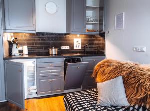 a kitchen with gray cabinets and a counter top at Nordic Natura in Skinnastadur