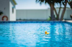 Bazén v ubytování Casa Linda Great Located Beach House in Marbella nebo v jeho okolí