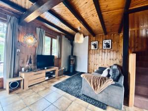a living room with a couch and a tv at Chalet Le Jeuna in Morgins