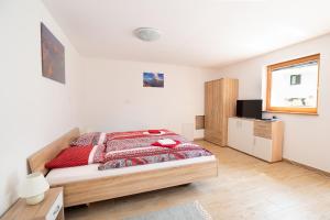 Gallery image of Apartments and rooms Kravanja in Trenta