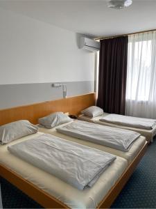 Ένα ή περισσότερα κρεβάτια σε δωμάτιο στο Hotel Schwanau garni