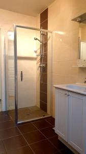 a shower with a glass door in a bathroom at Gite de Parcey in Parcey