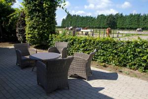 a patio with a table and chairs and horses in a field at Het Jachthuus - Vakantiewoning Oscar Hoeve in Ede