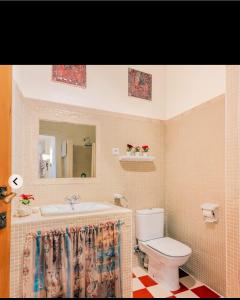La salle de bains est pourvue d'un lavabo, de toilettes et d'un miroir. dans l'établissement EN EL CORAZÓN DE HUESCA, à Huesca