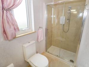 baño con ducha y aseo y ventana en The Beautiful Lazy Llama Shepherd Hut Farm Stay en Ballyshannon