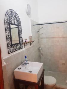 a bathroom with a sink and a shower and a toilet at Riad Inspira in Meknès