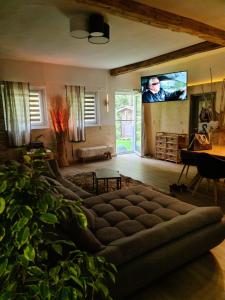 Televízia a/alebo spoločenská miestnosť v ubytovaní Bambu Lodge @ Ossiachersee