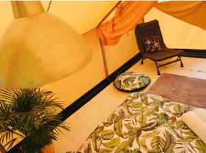 Gallery image of The Jungle Tent in Carbis Bay