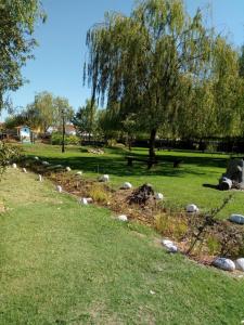 a field with rocks and a tree in a park at La Posada Hípica in Rosalejo