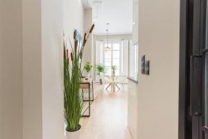 Fotografia z galérie ubytovania Homemalaga Constitución 2 v destinácii Málaga
