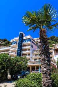 eine Palme vor einem Gebäude in der Unterkunft Rosa Negra in Ulcinj