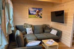 a living room with a couch and a tv at Chalet am Skigebiet mit Sauna, Bar, Billard, Carport und Kinderspielzimmer in Bad Sankt Leonhard im Lavanttal