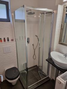 a bathroom with a shower and a toilet and a sink at Apartmanház 2-6 főnek in Pécs