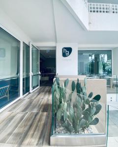 einen Kaktus in einem Glaskasten in einem Gebäude in der Unterkunft Hotel Greif in Lido di Jesolo