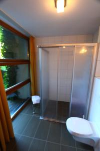 een badkamer met een douche, een toilet en een raam bij Apart-Garni Innerwiesn in Mayrhofen