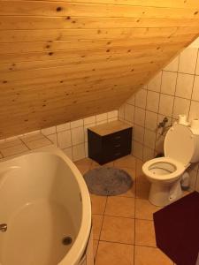 Et badeværelse på Agropensjonat Tramp z góralskim spa