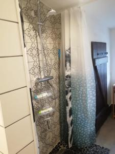 a shower in a bathroom with a glass door at Kleine Galerie Apartment für 3 mit Küche Kamin Netflix Parken und Hofladen in Steinhöfel +50 photos
