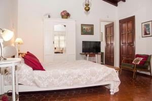 戈多伊克魯斯的住宿－Casita de limon，一间卧室配有一张床和一台电视