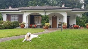 Domácí mazlíčci ubytovaní s hosty v ubytování b&b le magnolie