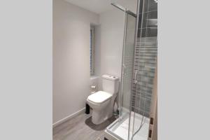a bathroom with a toilet and a glass shower at Appartement en plein centre ville d'Argentan in Argentan