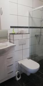 een badkamer met een toilet, een wastafel en een douche bij Komfort-Ferienwohnung mit Ostseeblick ,Entspannung in Flensburg