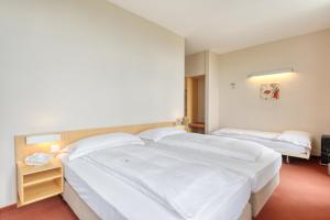 Voodi või voodid majutusasutuse Hôtel Le Funi de Cossonay toas
