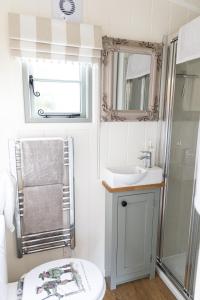 a bathroom with a sink and a toilet and a mirror at Whitbourne farm in Corsley