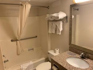 a bathroom with a sink and a toilet and a mirror at Days Inn by Wyndham Harrisonburg in Harrisonburg