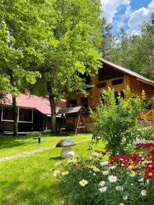 Gallery image of Sky Land Camping & Resort in Chişinău