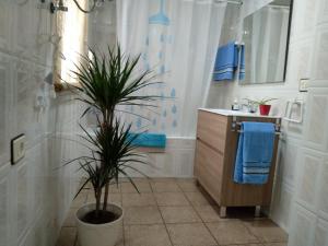 Fotografia z galérie ubytovania APTMUNDO ALTAMAR.- Precioso apartamento 1ª planta + terraza . Para 4 v destinácii Puerto de Sagunto + 7 fotografií