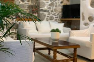 Posezení v ubytování Lava House + 26 fotografií