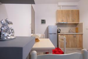 Kuchyň nebo kuchyňský kout v ubytování Hotel Villa Adrian