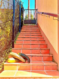 Fotografie z fotogalerie ubytování La Escondida v destinaci San Bartolomé de los Montes
