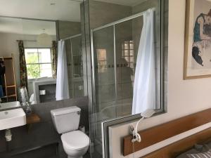 a bathroom with a shower and a toilet and a sink at Lake Street Studios in Oxford