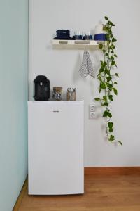 una nevera blanca en una cocina con una planta en Habitación con baño y entrada independiente, en La Santa