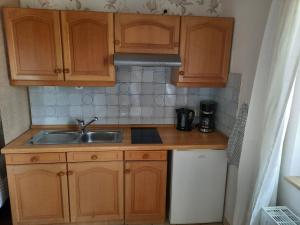 Kuchyň nebo kuchyňský kout v ubytování Apartment Weitblick + 2 fotografie
